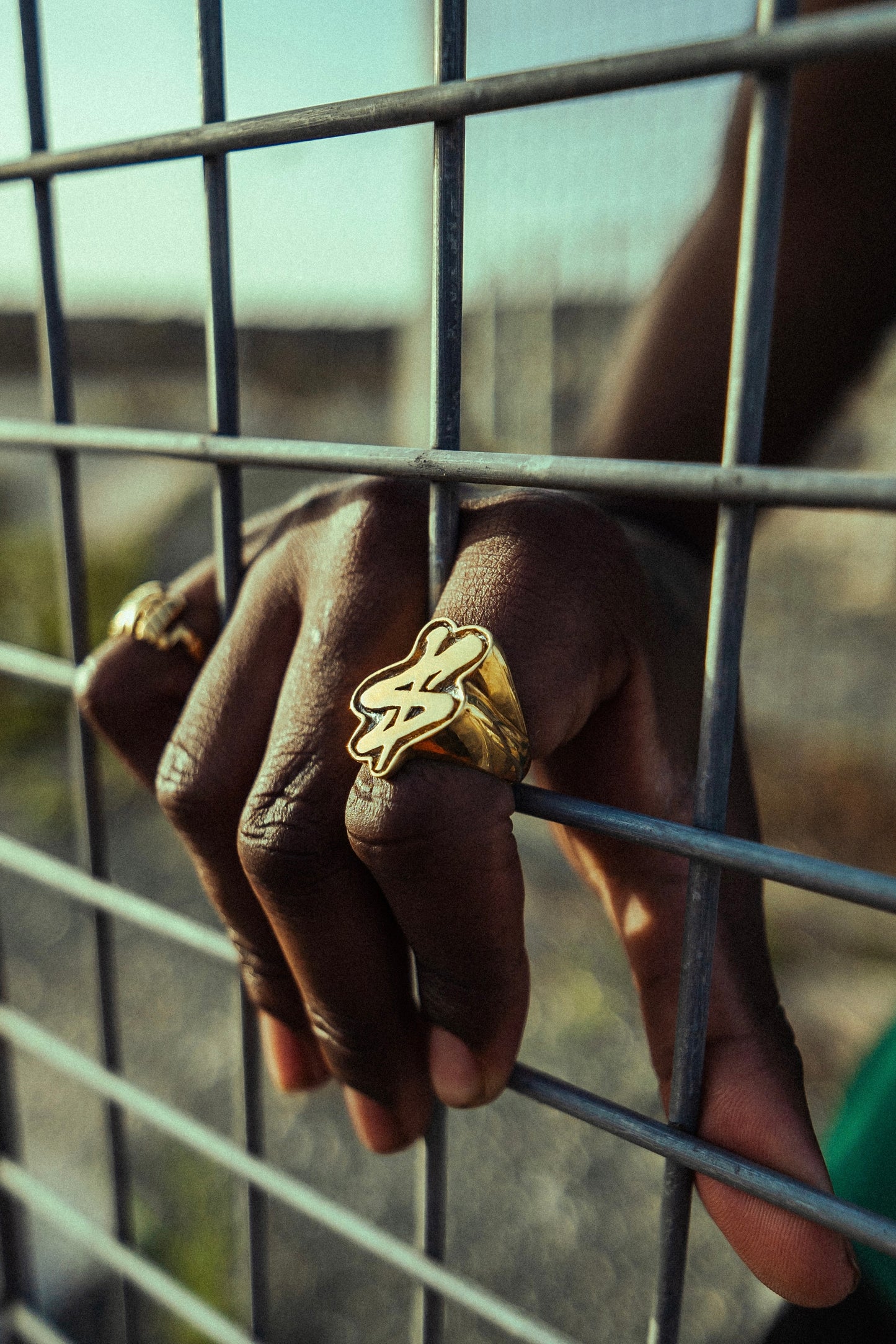 Anillo $