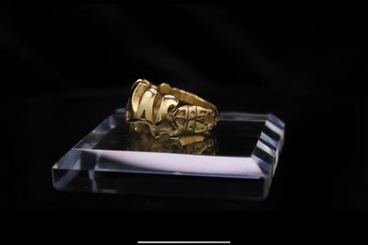 VANDAL Ring